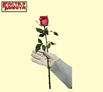 Rose Gardening Gloves by Euphoria 2